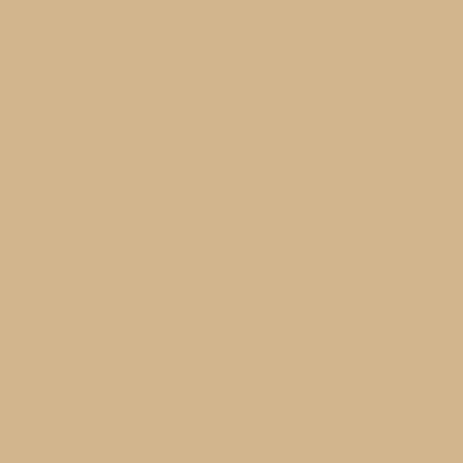 Papierhintergrunde | Bresser Bresser Sbp15 Papierhintergrundrolle 2,72 X 11M Beige